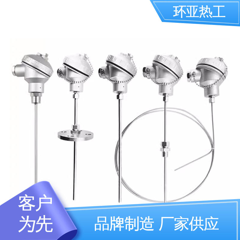 防腐强酸碱 铠装热电偶温度传感器 铂电阻探头 公司 环亚