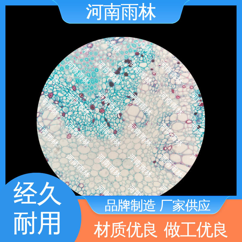 雨林教育工程 质量保障 可后期加工 厂家销售 植物切片