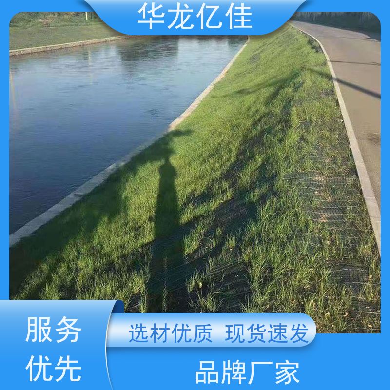 全新 垃圾填埋场绿化草毯 荒漠治理植被固土 按需定制