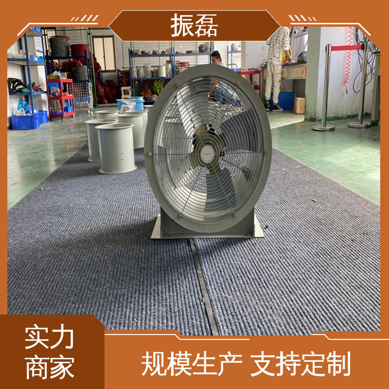 BSFT-250手提式轴流风机 支持定制 T35-11 振磊