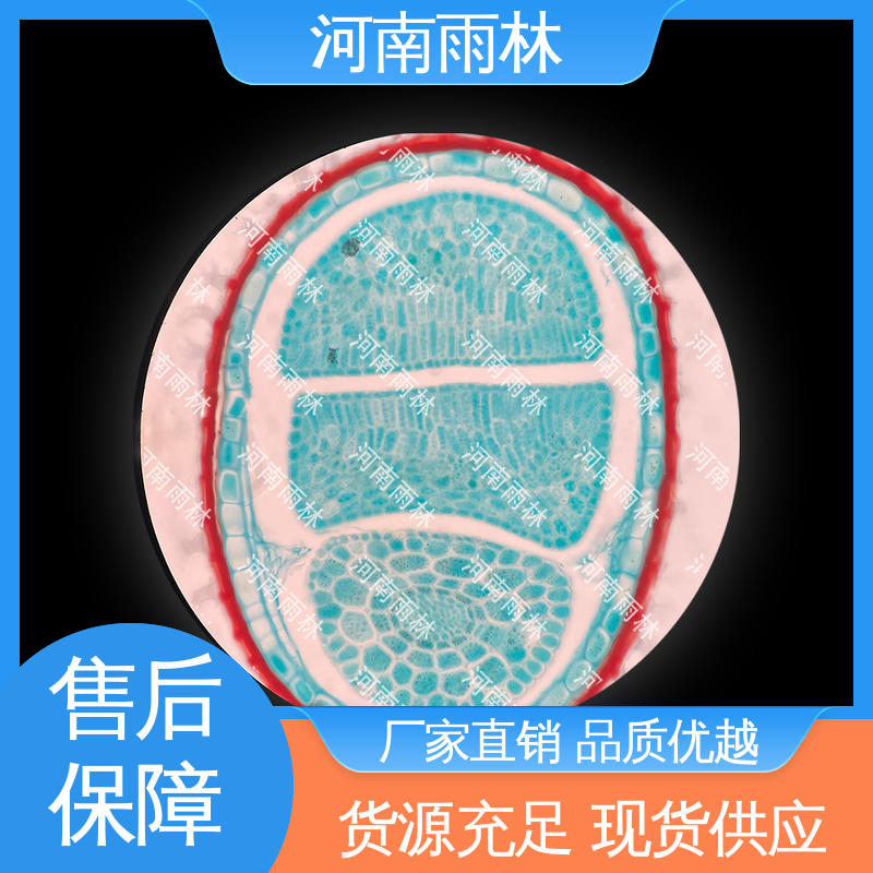 切片安全 售后无忧 个性化定做 实验标本 雨林教育工程