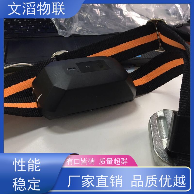 文滔物联 马B超 项圈GPS定位发情监测 生产厂家 