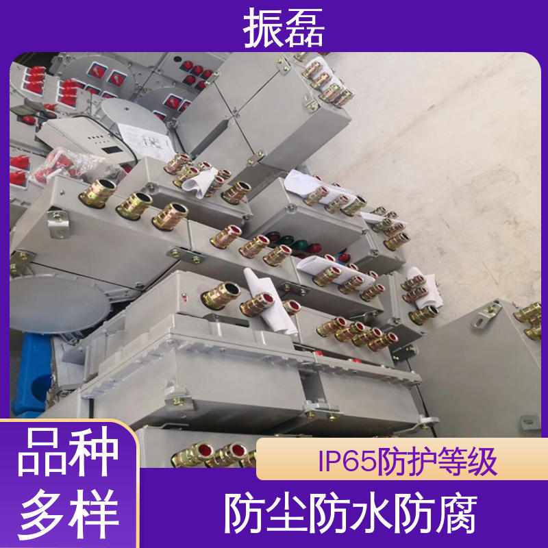 振磊 2/4/6/8/10K可定制 专用堵头 防爆配电箱 化工厂 加油站