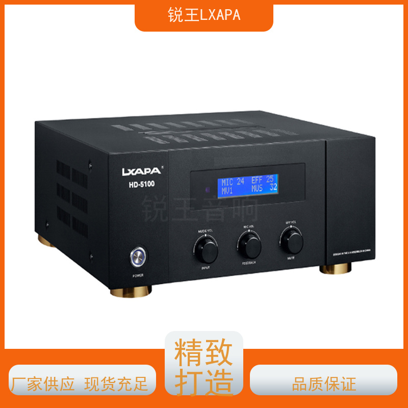 锐王LXAPA 培训教学会议音箱 带前置广播 纯后级定阻定压功放机