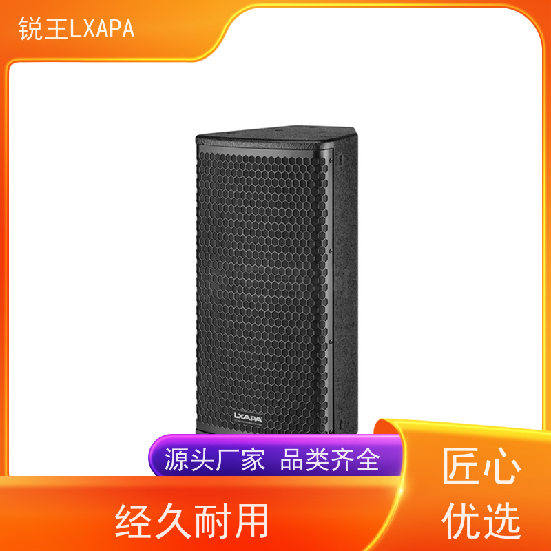 锐王LXAPA 巡回演出用 音箱 户外音响设备 会议系统声柱