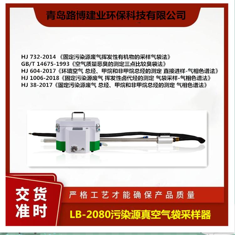 真空气袋采样器 路博环保LB-2080型 污染源采集