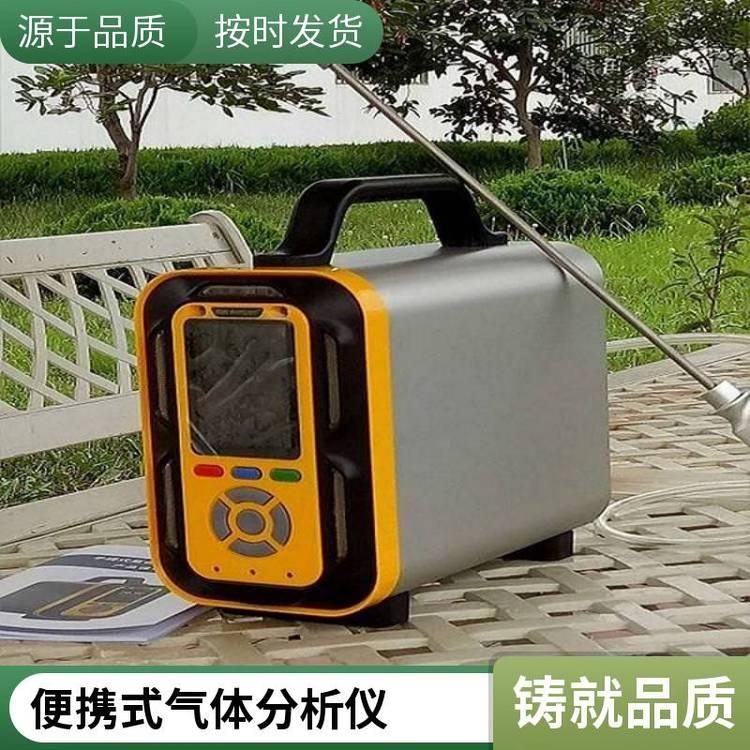内置泵吸式 复合气体分析仪 视觉报警 接口自动识别 抗静电