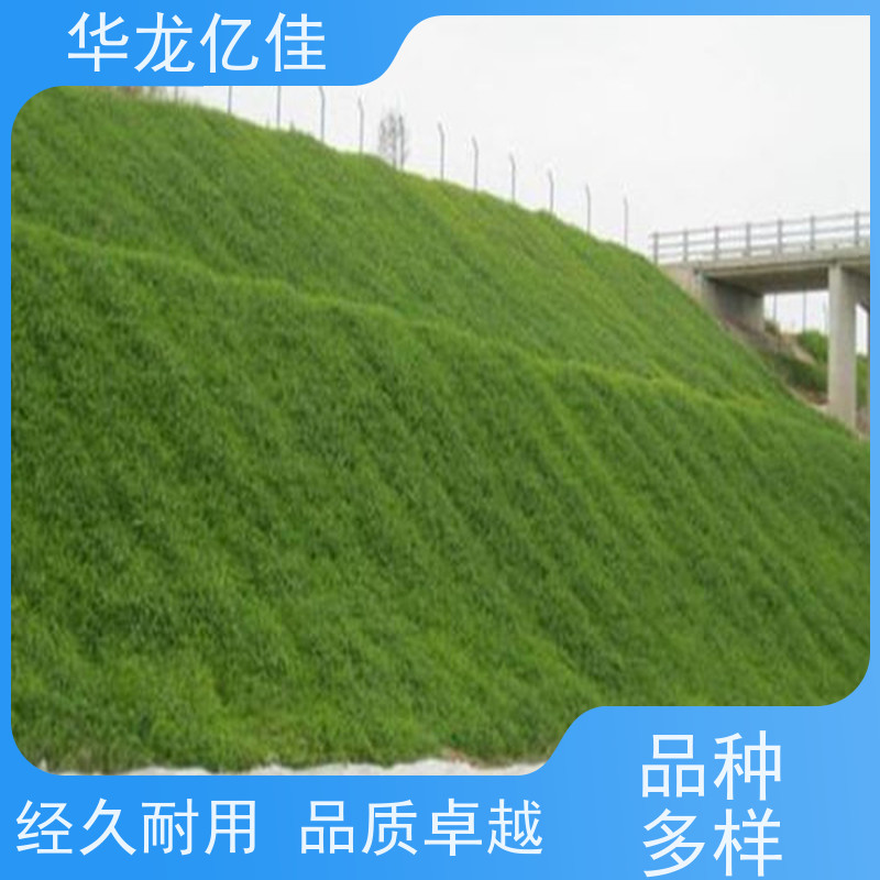 国标 椰丝草籽毯 荒漠治理植被固土 华龙亿佳供应