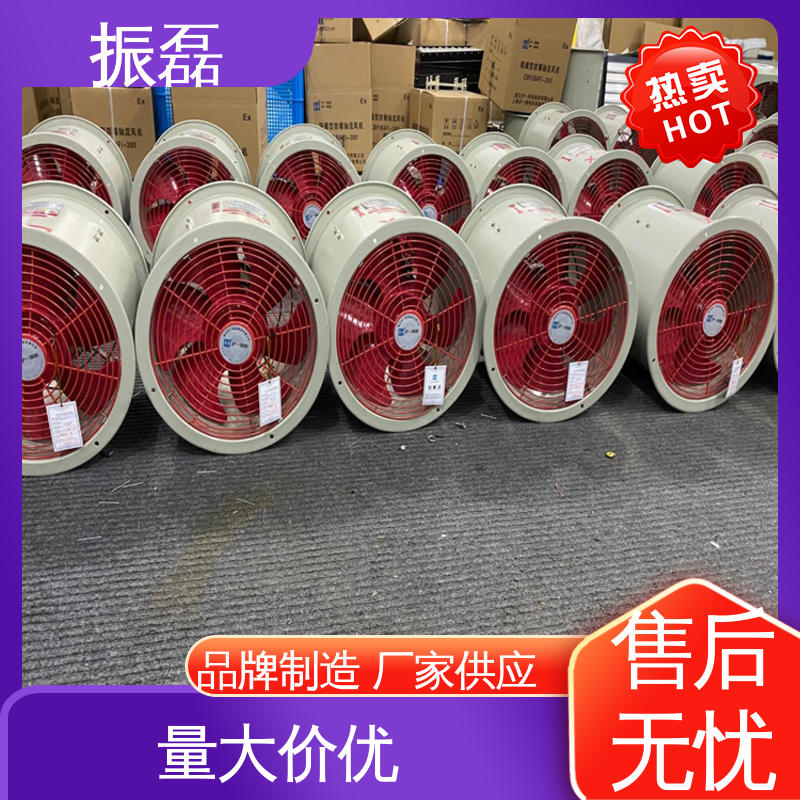 振磊 防雨防尘 220V 工业厂房3c 手提式防爆轴流风机