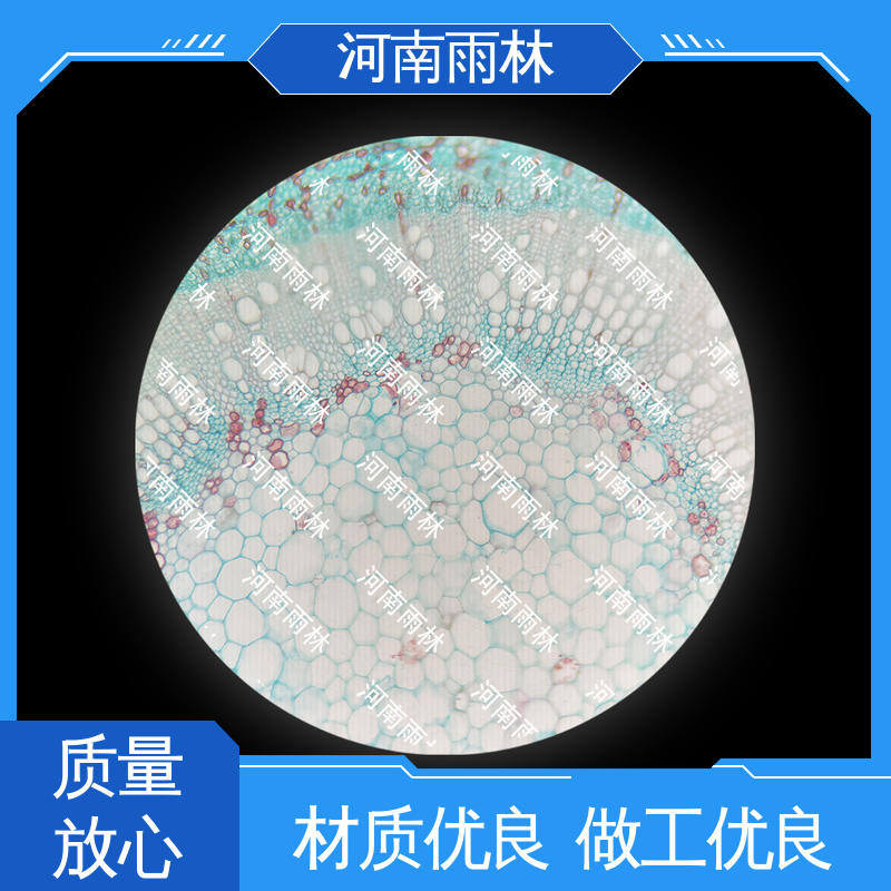 雨林教育 教学切片 个性化定做 性价比高 颜色鲜亮