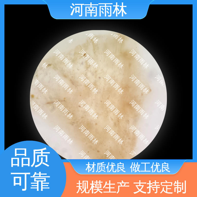 植物切片 质量保障 个性化定做 可提供材料 雨林