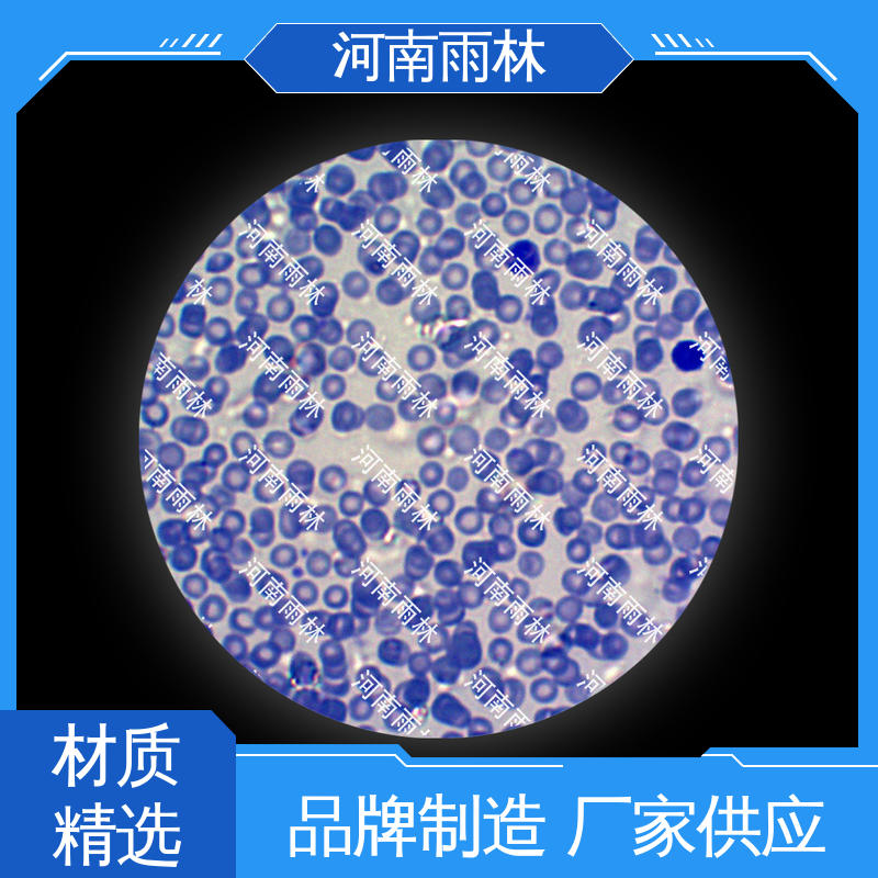 雨林教育 细胞清晰 支持定制 植物标本 可后期加工