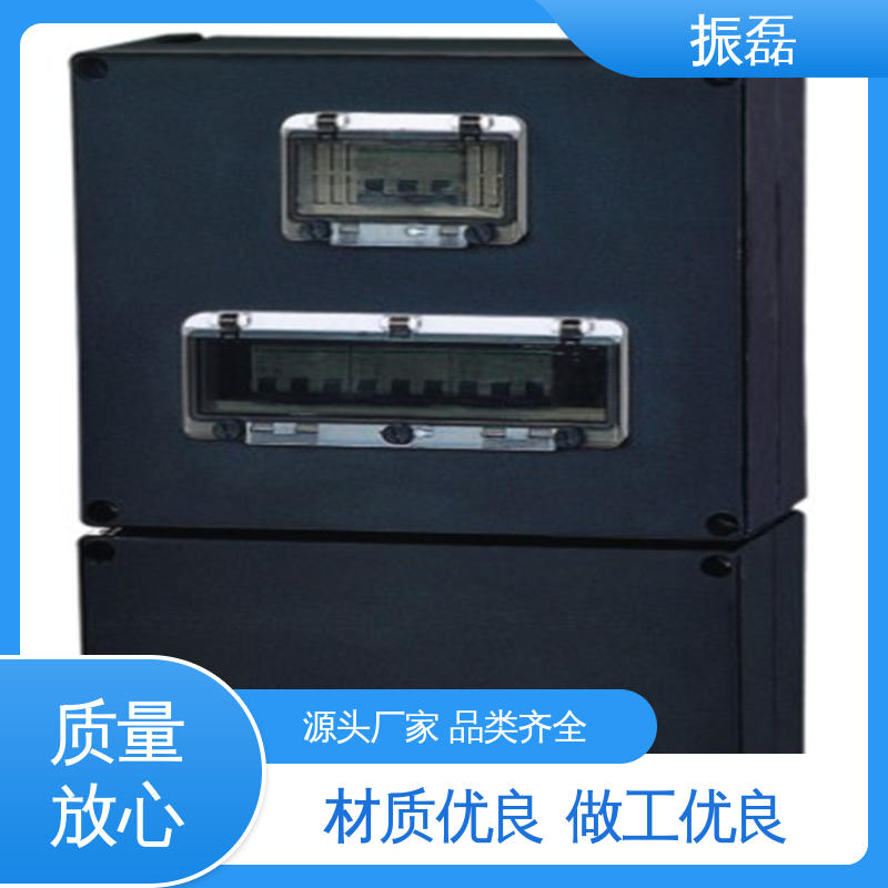 专用堵头 bxm防爆照明动力配电箱 生产厂家 振磊