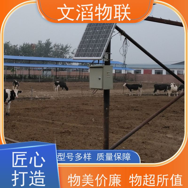 文滔物联 马B超 项圈GPS定位发情监测 好品质有保障 