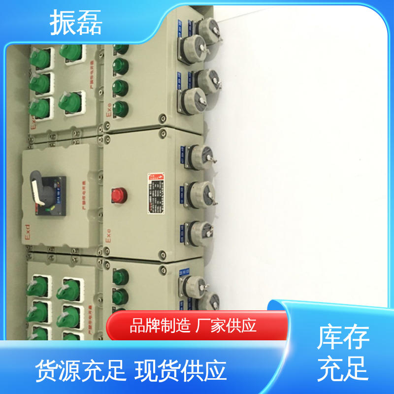 专用堵头 发货快 证书齐全 bxm防爆照明动力配电箱 工地 振磊
