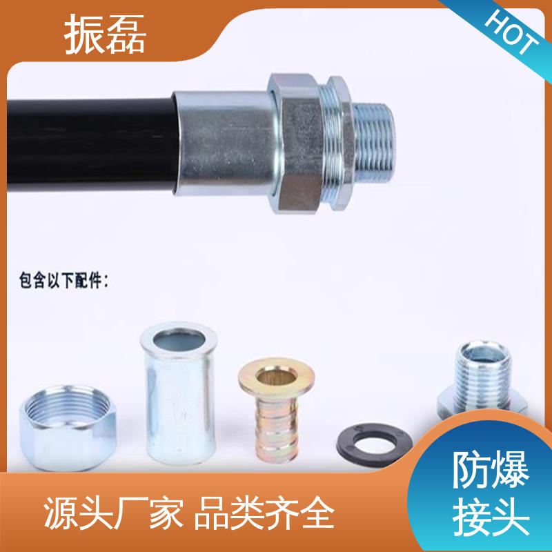 振磊 防爆管接头 6分 DN20 一内一外 BHJ-G3/4 非标
