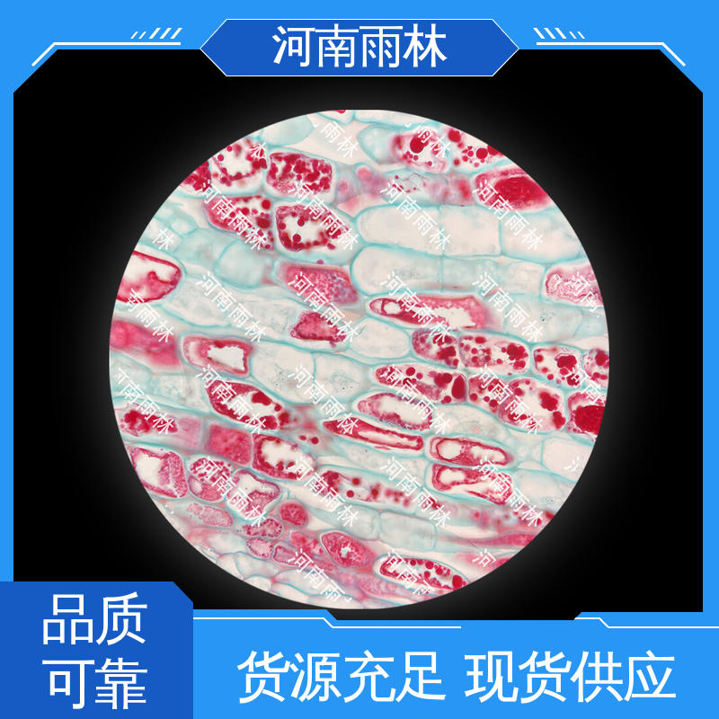 雨林教育工程 质量优 实验标本 品质优良 个性化定做