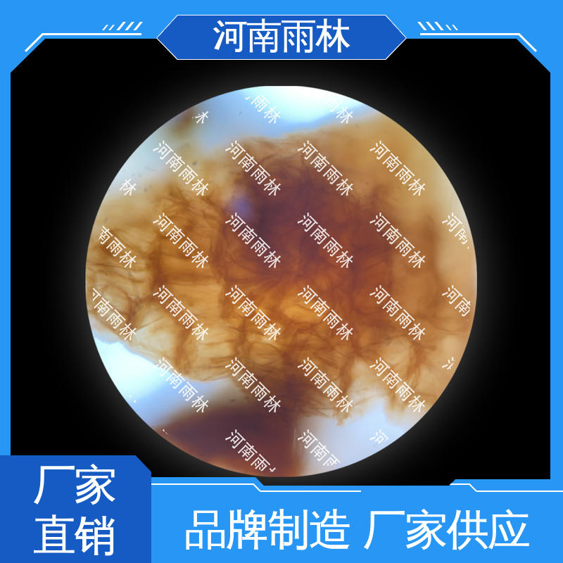 质量保障 可后期加工 各类标本 厂家销售 雨林教育