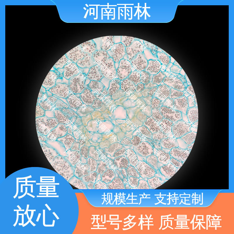 各类标本 厂家销售 颜色鲜亮 可定制 雨林教育工程