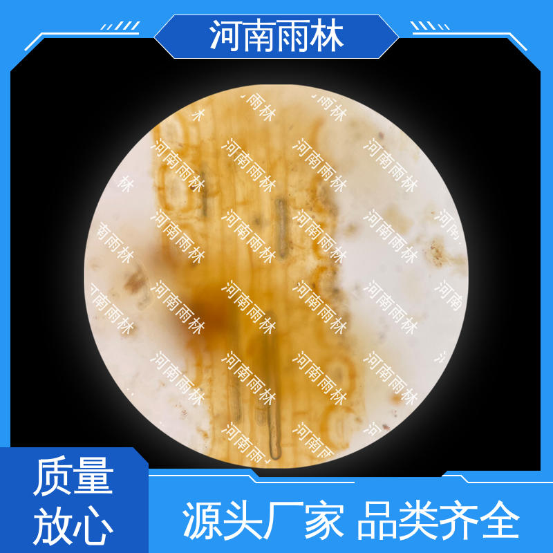 雨林教育 切片安全 显微标本 性价比高 个性化定做