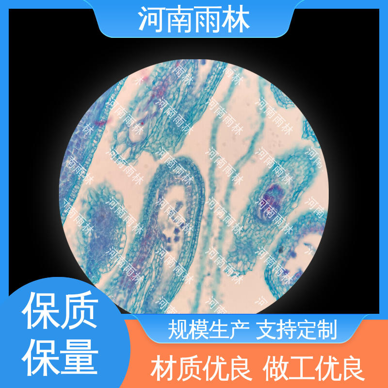 售后无忧 实验切片 品质优良 专业 雨林教育工程