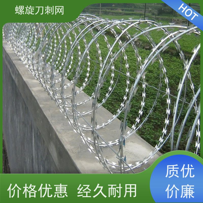 围墙防爬刺路边防攀爬铁蒺藜蛇蝮式刺丝滚笼刺网材质