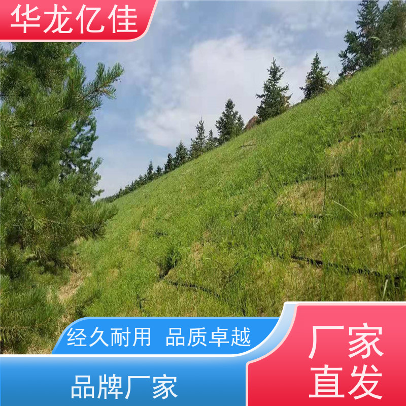 全新 植生毯 稻草毯 加筋抗冲 颜色金黄色 耐腐蚀