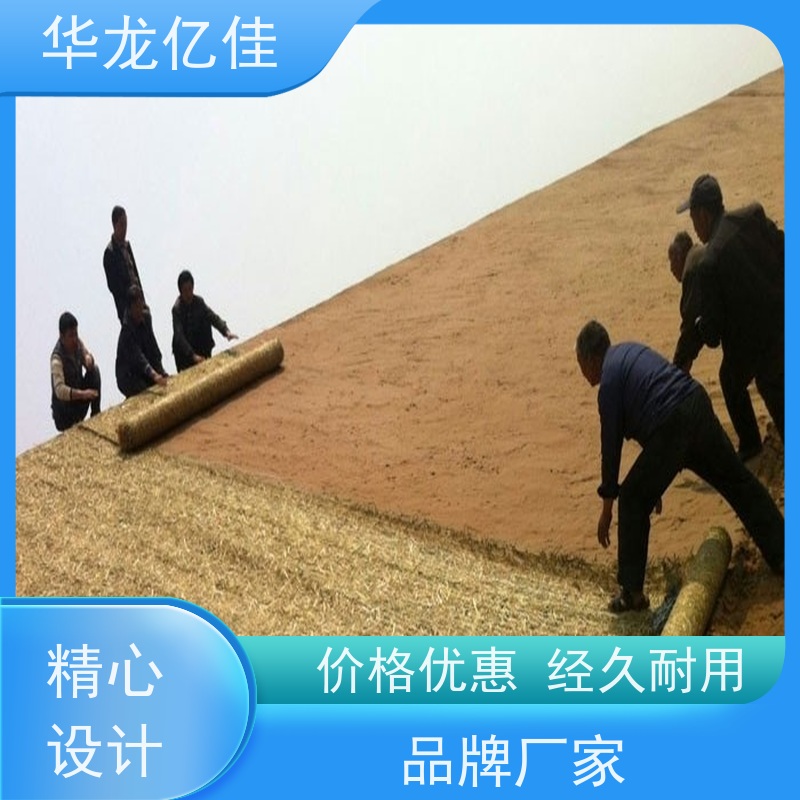 全新 加筋抗冲毯 河道护坡绿化植草毯 华龙亿佳供应