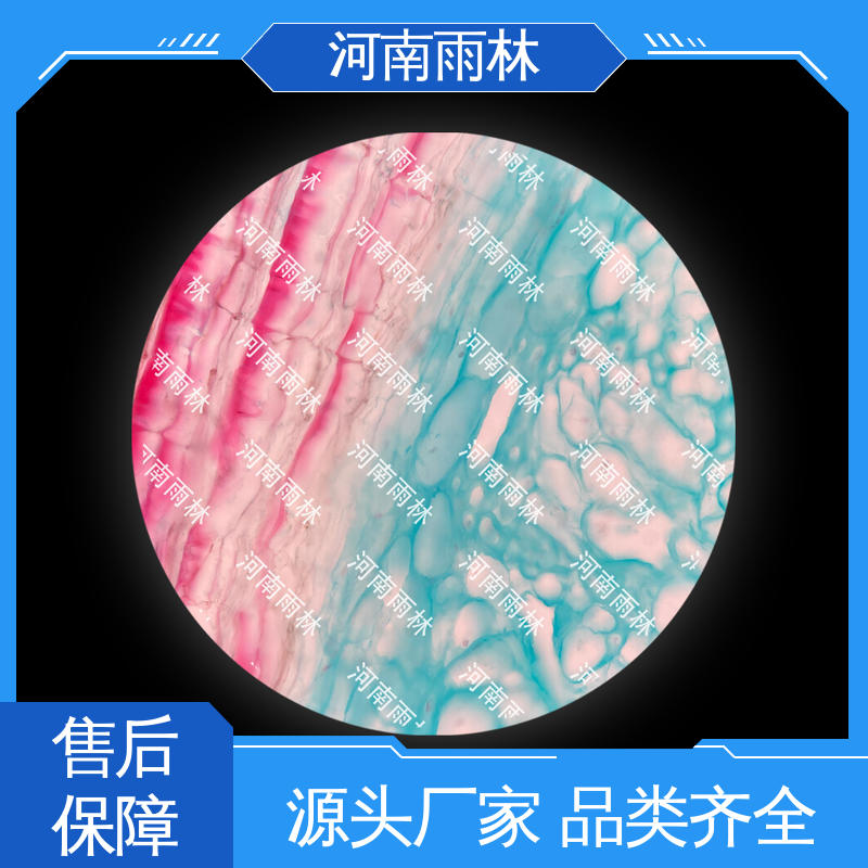 售后无忧 颜色鲜亮 显微标本 厂家销售 雨林教育