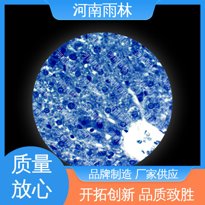 颜色鲜亮 植物标本 厂家销售 质量优 雨林教育工程