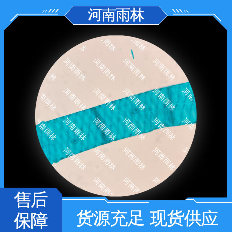 雨林教育 可定制 植物标本 质量保障 个性化定做
