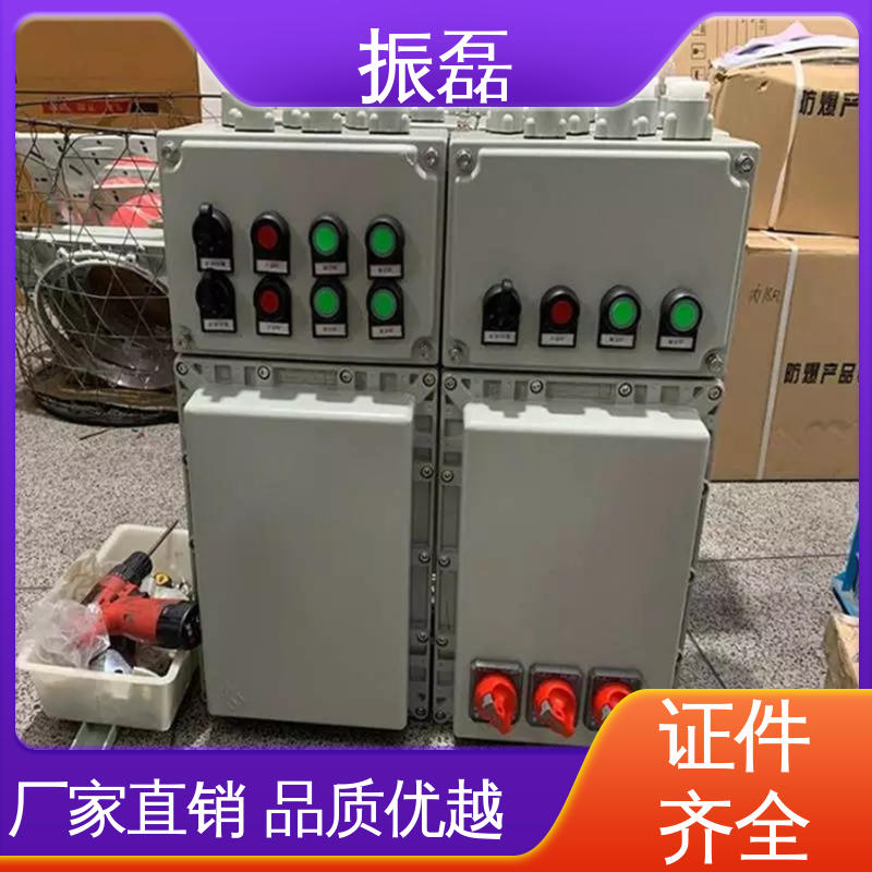 KAKY矿用控制柜IP54 工地 生产厂家 BXX51防爆配电箱动力检修箱 振磊