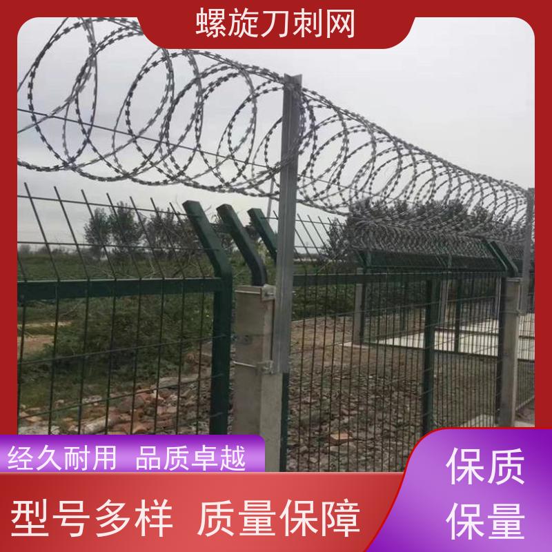 防攀爬刀刺网斧行型刀片防爬网高锌刺丝滚笼材质