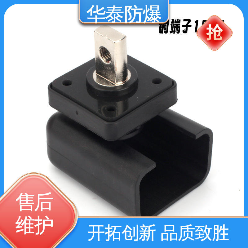 华泰电器 120A 支持定制 现货速发 耐腐蚀 电池连接器