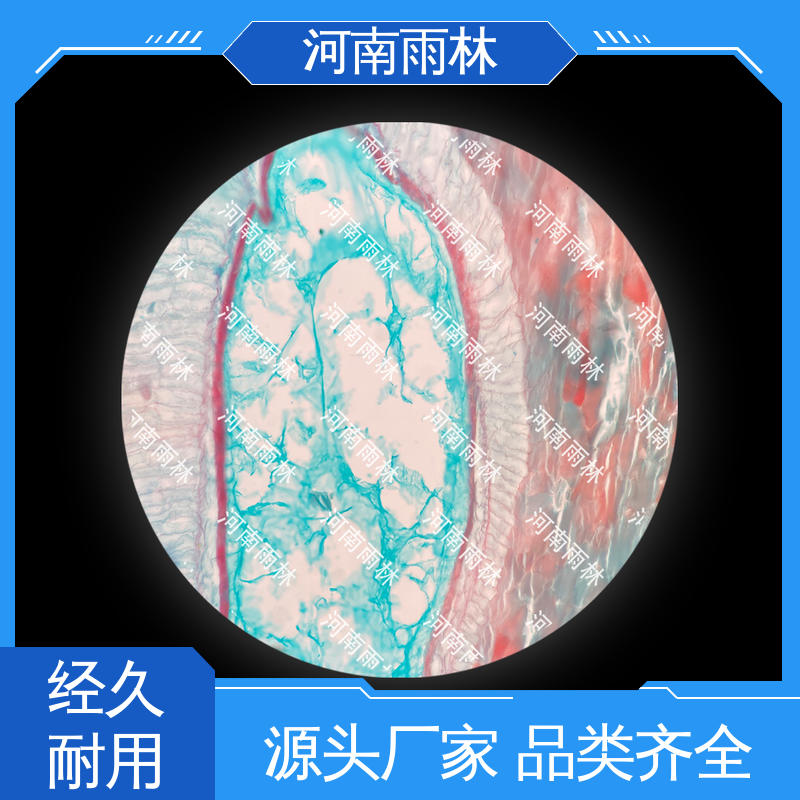 雨林教育工程 显微标本 源头工厂 可后期加工 一对一质检