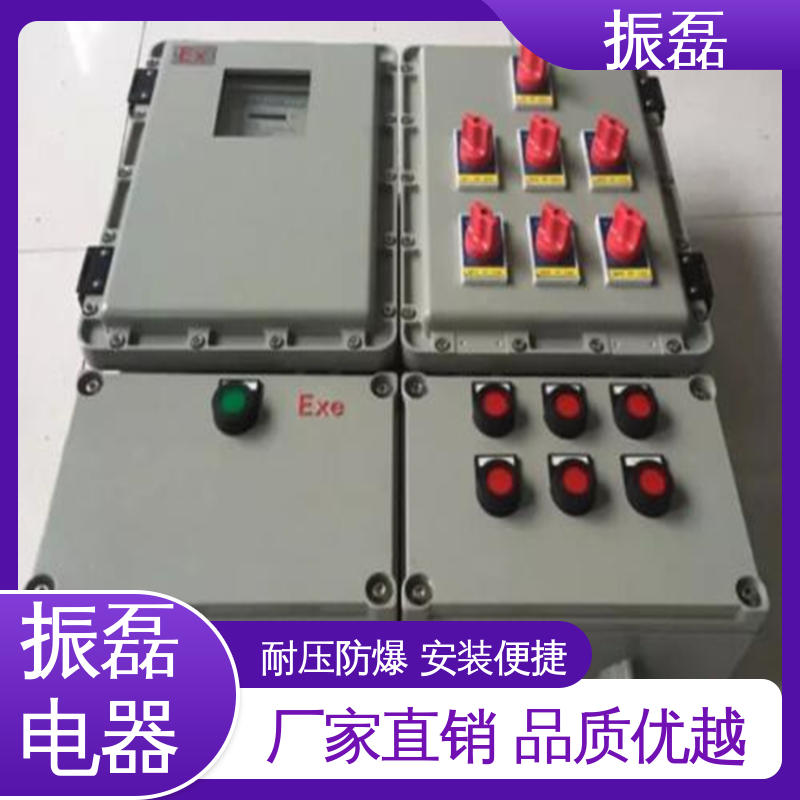 振磊 2/4/6/8/10K可定制 防爆配电箱 BXMD 风机控制柜