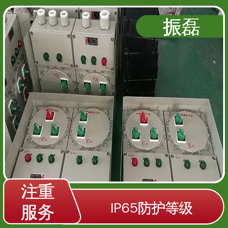 振磊 专用堵头 BXM8050防爆防腐照明动力配电箱 户内户外