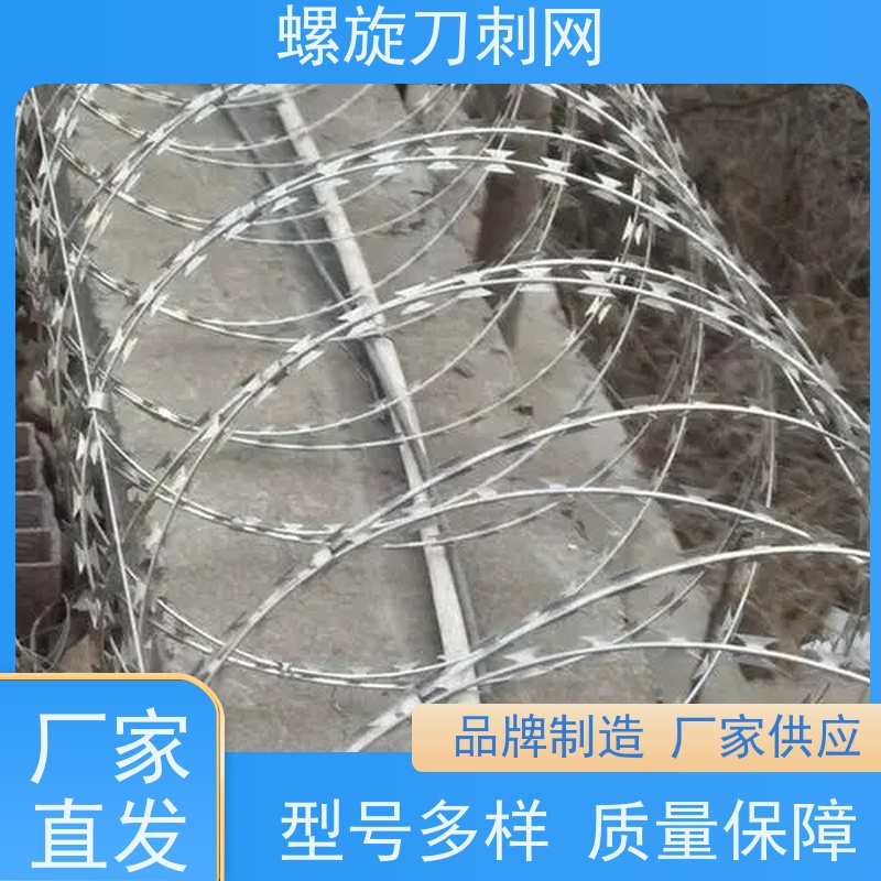 防护网带刺铁丝滚笼275g刀刺网高铁304不锈钢刀片刺绳安装