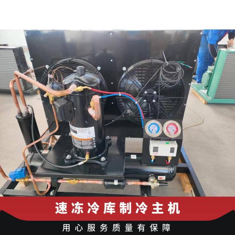 冷库制冷主机 工厂生产 风量8000 货号rfc6ds20 一年 -35到0度