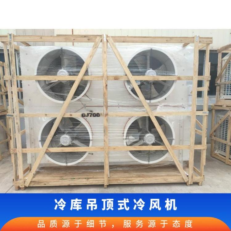 博泽制冷冷冻设备冷库内风机冷冻冷藏制冷设备DL330/DJ170/DD250