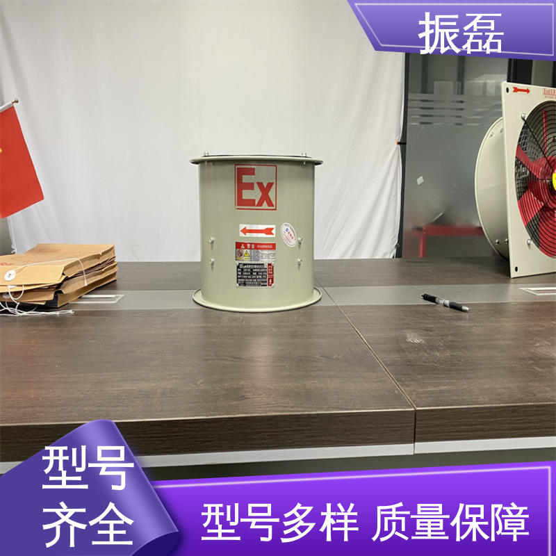 振磊 BSFT防爆轴流风机 220V 低噪音耐高温 工业厂房3c