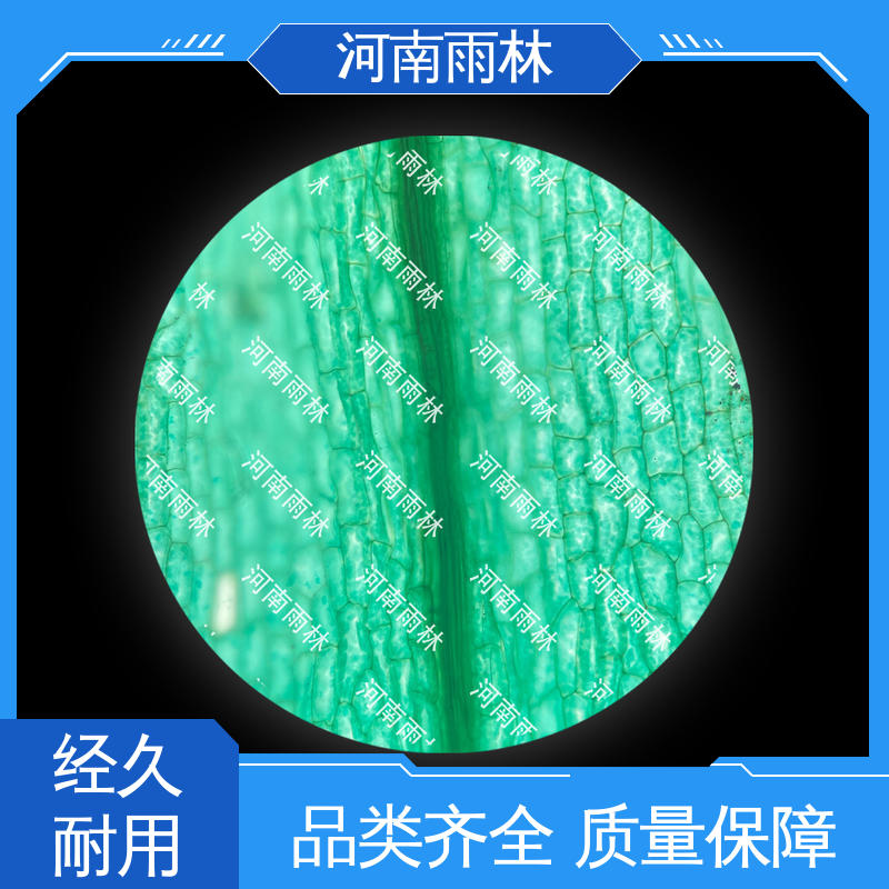 雨林教育工程 性价比高 个性化定做 切片安全 植物标本