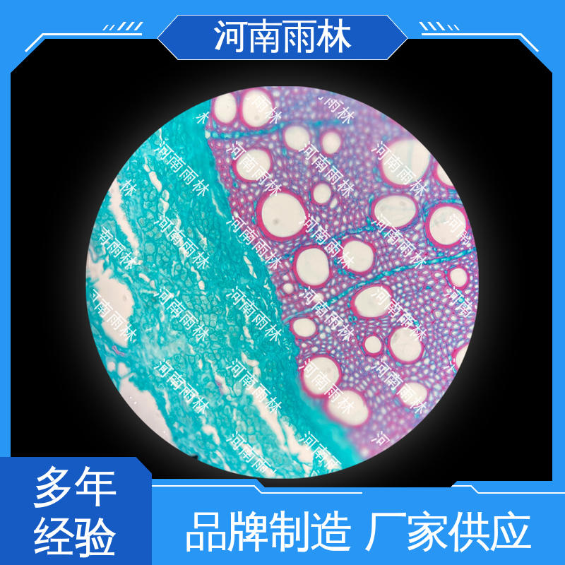 售后无忧 显微标本 个性化定做 切片安全 雨林教育