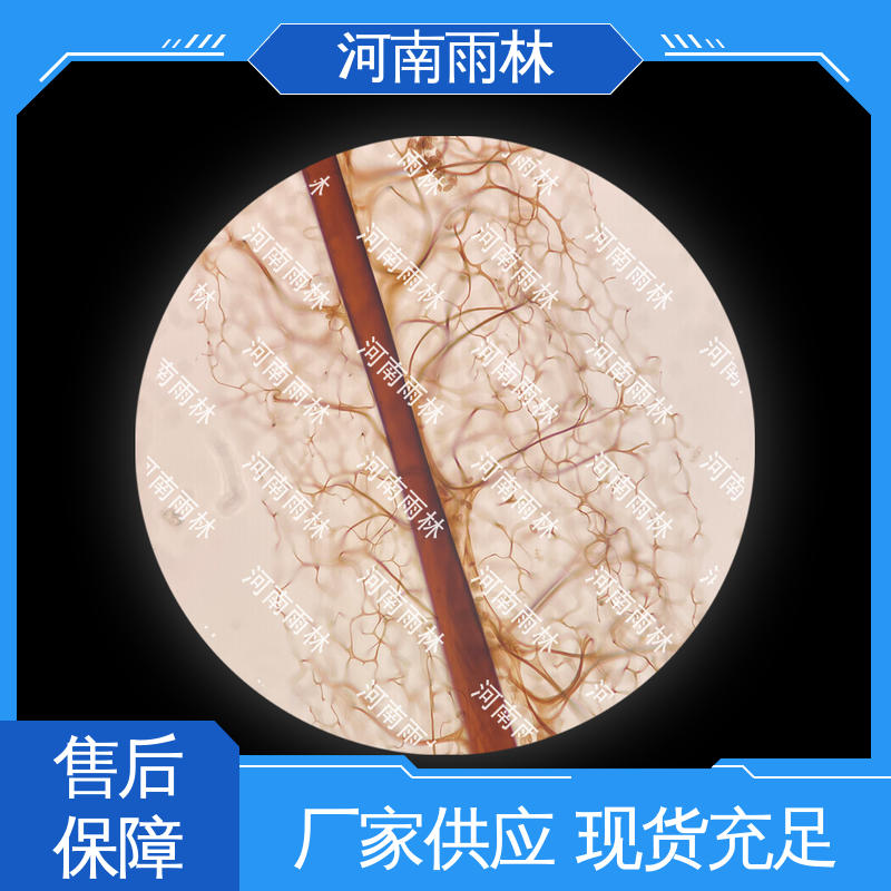 雨林教育工程 个性化定做 颜色鲜亮 实验切片 可提供材料