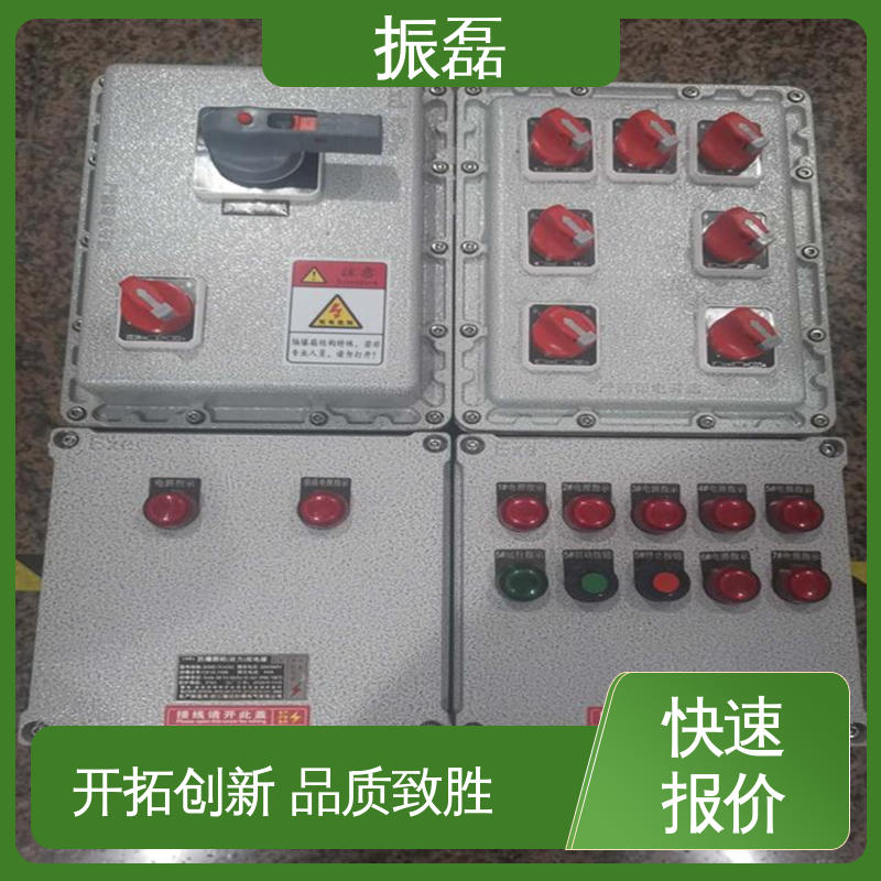 不锈钢配电箱 BXM(D)8050 2/4/6/8/10K可定制 振磊