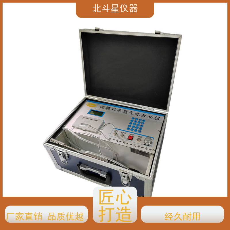 北斗星仪器 恶臭检测仪 配备进口高精度传感器 水泥窑固废处置
