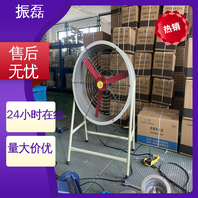 振磊 畜牧场用通风换气扇 支持定制 防爆手提轴流风机BSFT-300