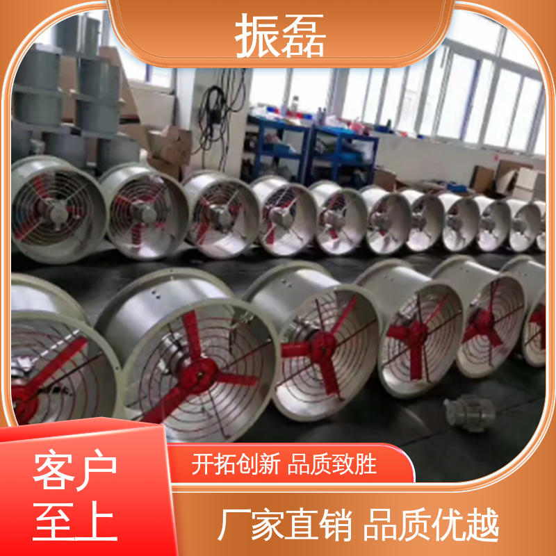 振磊 380V 工业厂房3c BSFT防爆手提式风机 安装方便