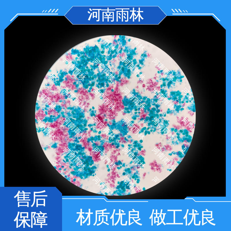 雨林教育工程 质量优 源头工厂 细胞清晰 生物切片