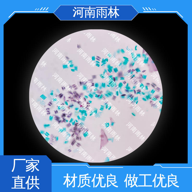 雨林教育工程 可提供材料 各类标本 细胞清晰 专业